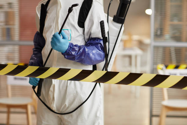 Professional Sewage Cleanup technician working in Albin, WY